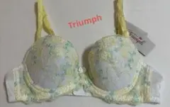 Item thumbnail for item 49a02627-7b5e-4e46-a37b-7b8dff90ed59