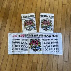 KOSHIEN 95th タオル 3枚セット