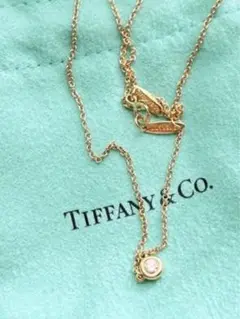 極美品 ͙❁˚TIFFANYバイザヤードネックレス RGローズゴールド