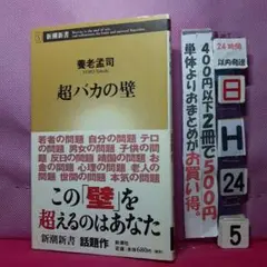 超バカの壁