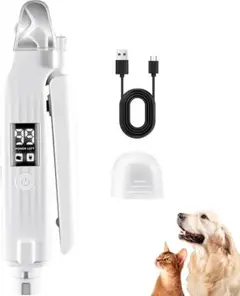 Item thumbnail for item 94dfc01a-3d70-49df-b527-d5a5ebdd9c49