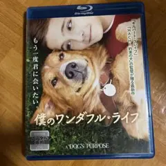 Item thumbnail for item c945c271-63ff-444d-a3f1-60a8ff50da9a