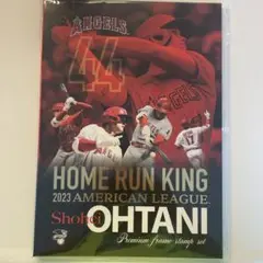 Shohei Ohtani ホームラン王 2023記念