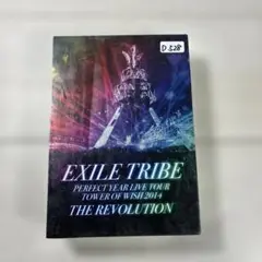 EXILE TRIBE/EXILE TRIBE PERFECT YEAR LI…