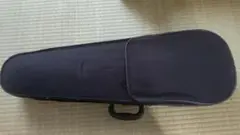 Item thumbnail for item 3f553651-72aa-446e-b72a-2ccf6db3263d