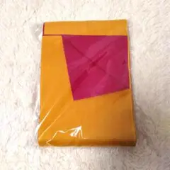 Item thumbnail for item 19759509-6be8-47a4-982a-42c0a61e0b09