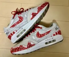 Nike Air Max 1 "Tinker Hatfield Sketch"