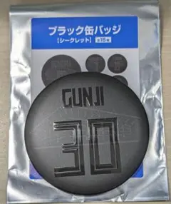 北海道日本ハムファイターズ　郡司裕也選手　ブラック缶バッジ　新品