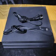 動作確認済 PlayStation 4 本体 + ケーブルセット