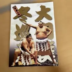 平成八年 大相撲 冊子