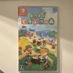 (k様限定)あつまれ どうぶつの森 Nintendo Switch