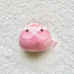 もっちりある ことり もっちりマスコット3 モモイロインコ