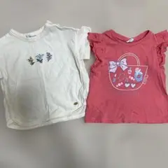 ピューピルハウス ロペピクニック 100