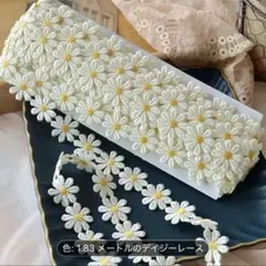ディジーレース