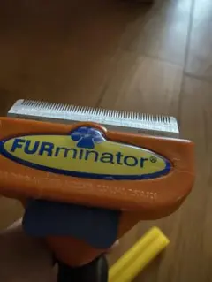 Item thumbnail for item b01532c8-06f8-4f0b-9398-1adb259a066a