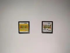 DSソフト 「おかえり！ちびロボ！」「咲かせて！ちびロボ！」 セット