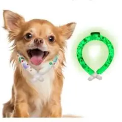 Item thumbnail for item 5369e7ba-e1d7-4d1a-918f-6783898633c1