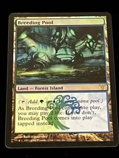 ウルザの物語　英語foil　4枚セット MTG ウルザの物語 英語版 Foil 4枚セット（新版 素晴らしい品質