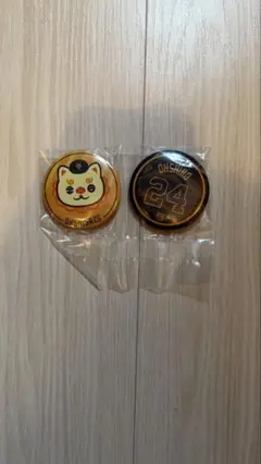 オオシーサー 缶バッジセット