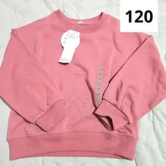 Item thumbnail for item cdb84065-16e3-4933-8fe5-9aeb2c356049