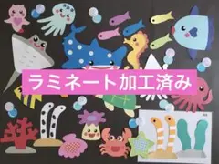 壁面飾り　夏② ラミネート加工済み　海　水族館