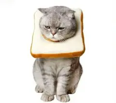 Item thumbnail for item 1691df3e-19ff-40b0-992d-a786687c0899