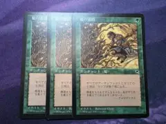 MTG　根の迷路/Root Maze　3枚セット