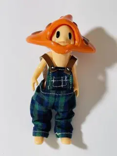 ワンダーフロッグ