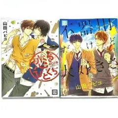 恋をひとくち 山田パピコ 2冊 BLコミック ボーイズラブ 不器用だけど大好きさ