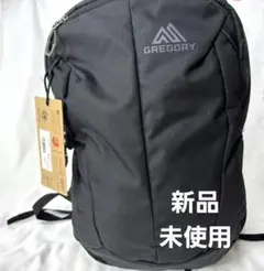 新品未使用 グレゴリー GREGORY RETINA20 レトナ PC収納