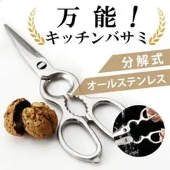 Item thumbnail for item 9a7b2523-0083-44e4-9bc8-f2519750185a