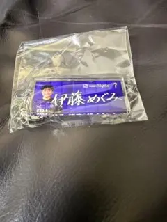 サンフレッチェ 広島 レジーナ ガチャ 7 伊藤めぐみ アクリルキーホルダー