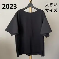 極美品 23区 コットンツイルジャージー フレアスリーブ カットソー 46