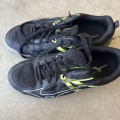 Mizuno ウェーブカイザーブルグ 7