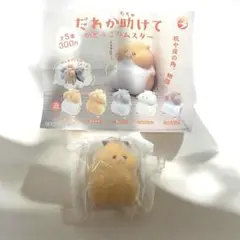 だれか助けてかどっこハムスター ガチャ カプセルトイ キンクマ