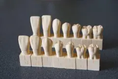 MORPHOLOGY 歯牙形態の類似性　歯科　歯科技工 歯牙形態 (歯科技工士のための専門情報誌「ZERO」別冊) | 脇田太
