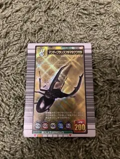 【美品】　マンディブラリスフタマタクワガタ　2004