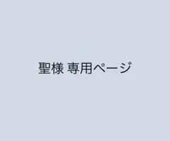 専用ページ