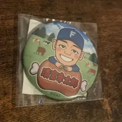 清宮幸太郎 日ハム缶バッチ
