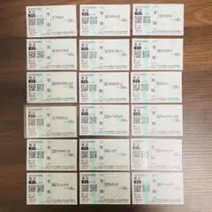 現地 単勝 馬券 2005年 安田記念 全18頭