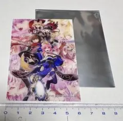 fgo TYPE-MOONエース　クリアカード　岸波白野　玉藻の前　鈴鹿御前