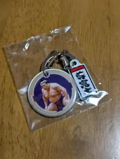 尊富士、キーホルダー