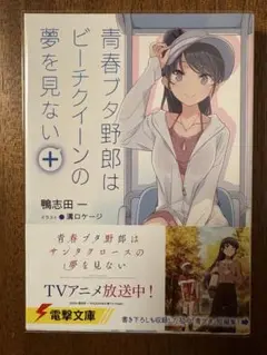 青春ブタ野郎はビーチクイーンの夢を見ない