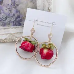 薔薇ピアス∗*゜