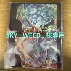 ポケモンフレンダ　レシラム（第４弾）、テラパゴス（第５弾）　2点セット