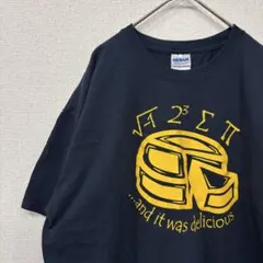 ギルダン　tシャツ プリント　イラスト　数学　アメリカ古着　 XL 2148