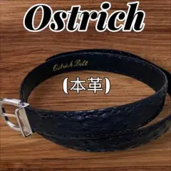 最高級 オーストリッチ 本革 レザー ベルト riou gerard 黒 美品
