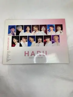 SEVENTEEN DVD Haru コンサート映像