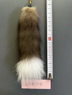 しっぽ　ストラップ　２５－８－３－Ｆ