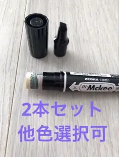 油性マジック型　シークレットケース　2本セット
